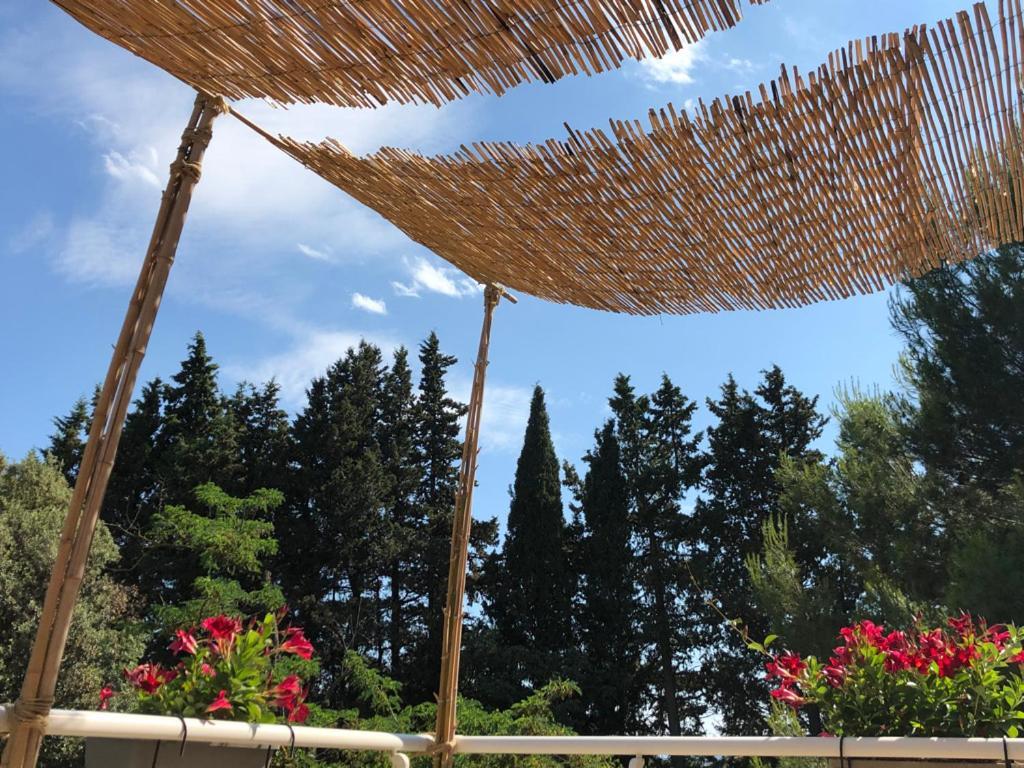 Bed and Breakfast Le Nid Des Corbieres Bizanet Exterior foto