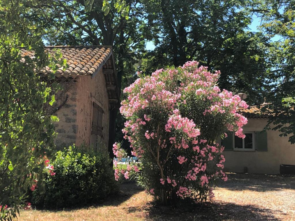 Bed and Breakfast Le Nid Des Corbieres Bizanet Exterior foto